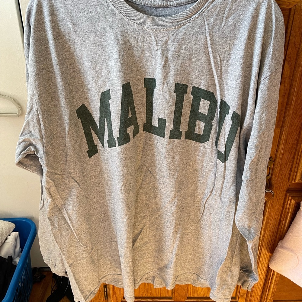 J.Galt/Brandy Melville Gray Malibu Long Sleeve